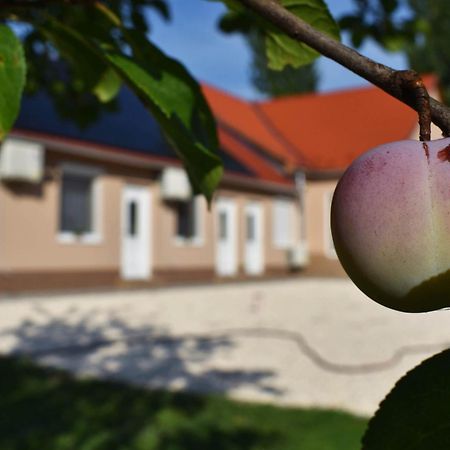 Napfény Apartman Makó Extérieur photo