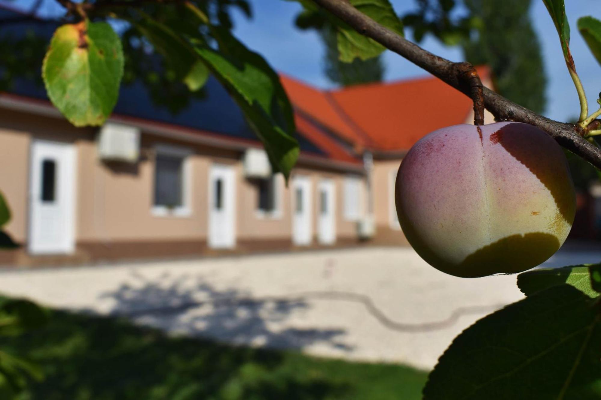 Napfény Apartman Makó Extérieur photo